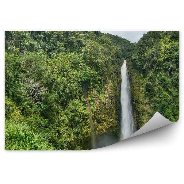 Fototapet Cascadă Hawaii Junglă Curcubeu Cer Nori