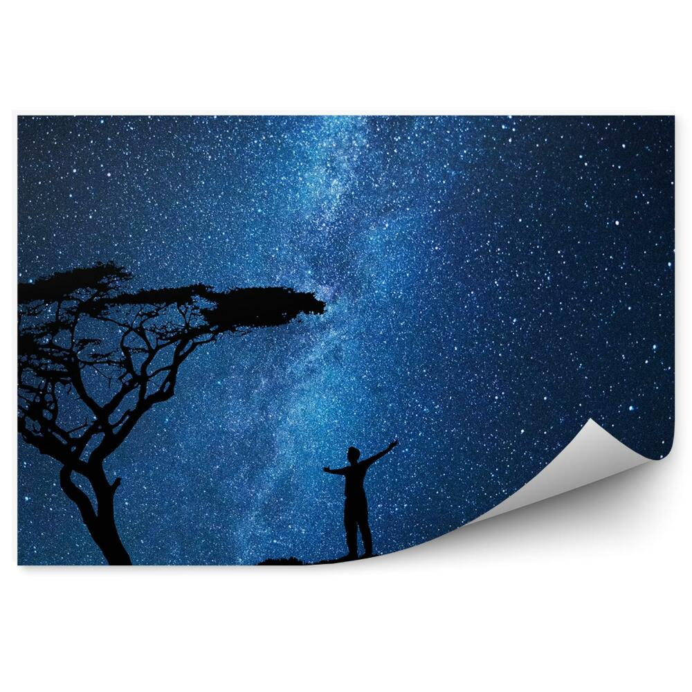 Decor fototapet Siluetă Om Copac Cer Stele Cosmos