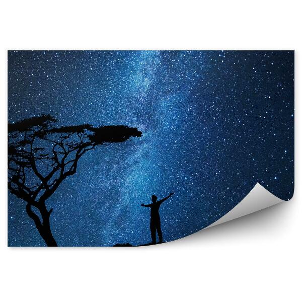 Decor fototapet Siluetă Om Copac Cer Stele Cosmos