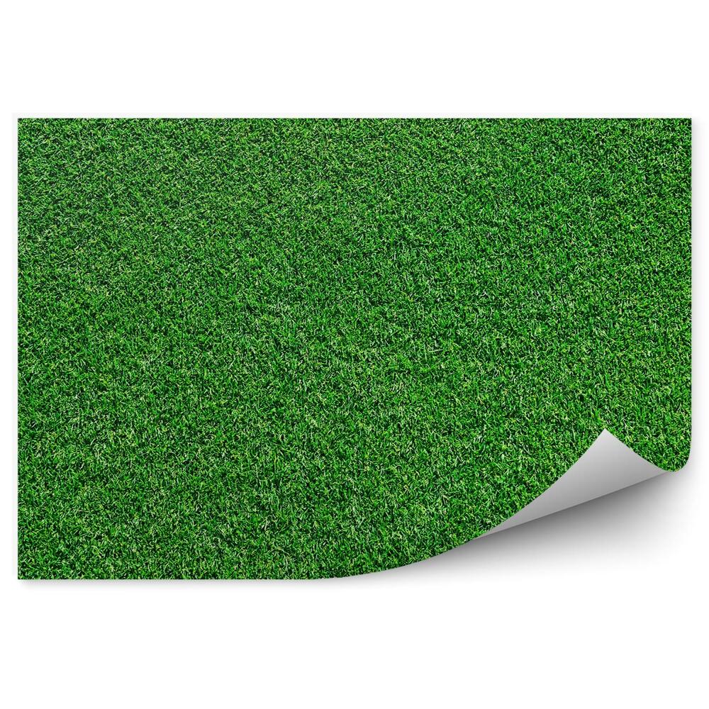 Fototapet pentru perete Textura Verde Model Câmp De Iarbă