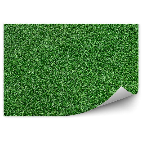 Fototapet pentru perete Textura Verde Model Câmp De Iarbă