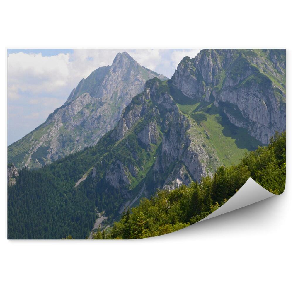 Fototapet vintage Vedere Asupra Munților Giewont Tatra, Copaci, Cer, Nori