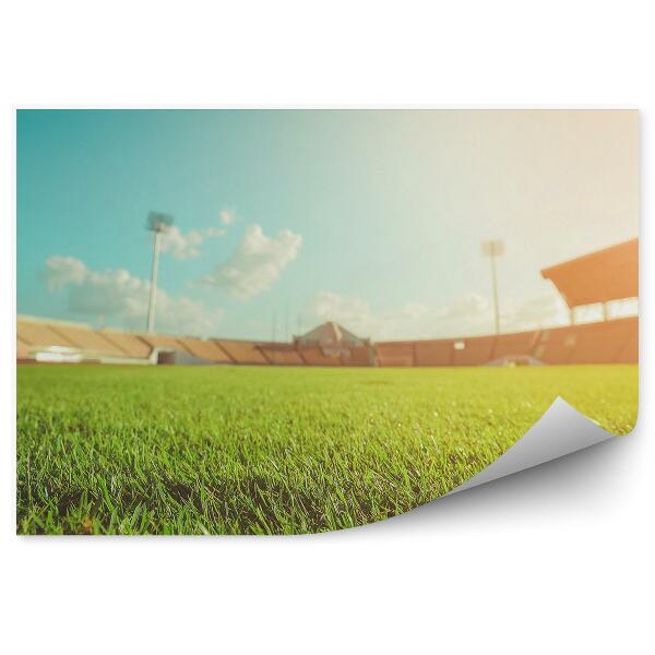Decor fototapet Stadion de fotbal cu iarbă verde