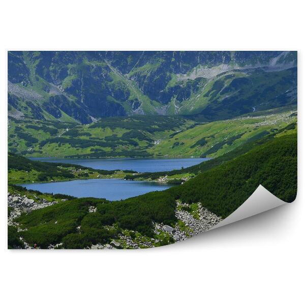 Fototapet vintage Valea Celor Cinci Iazuri Munții Tatra Nori De Cer