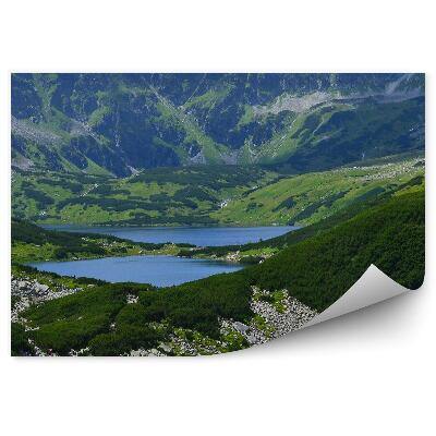 Fototapet vintage Valea Celor Cinci Iazuri Munții Tatra Nori De Cer