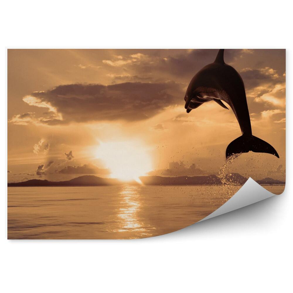 Decor fototapet Delfin Săritor Și Apus