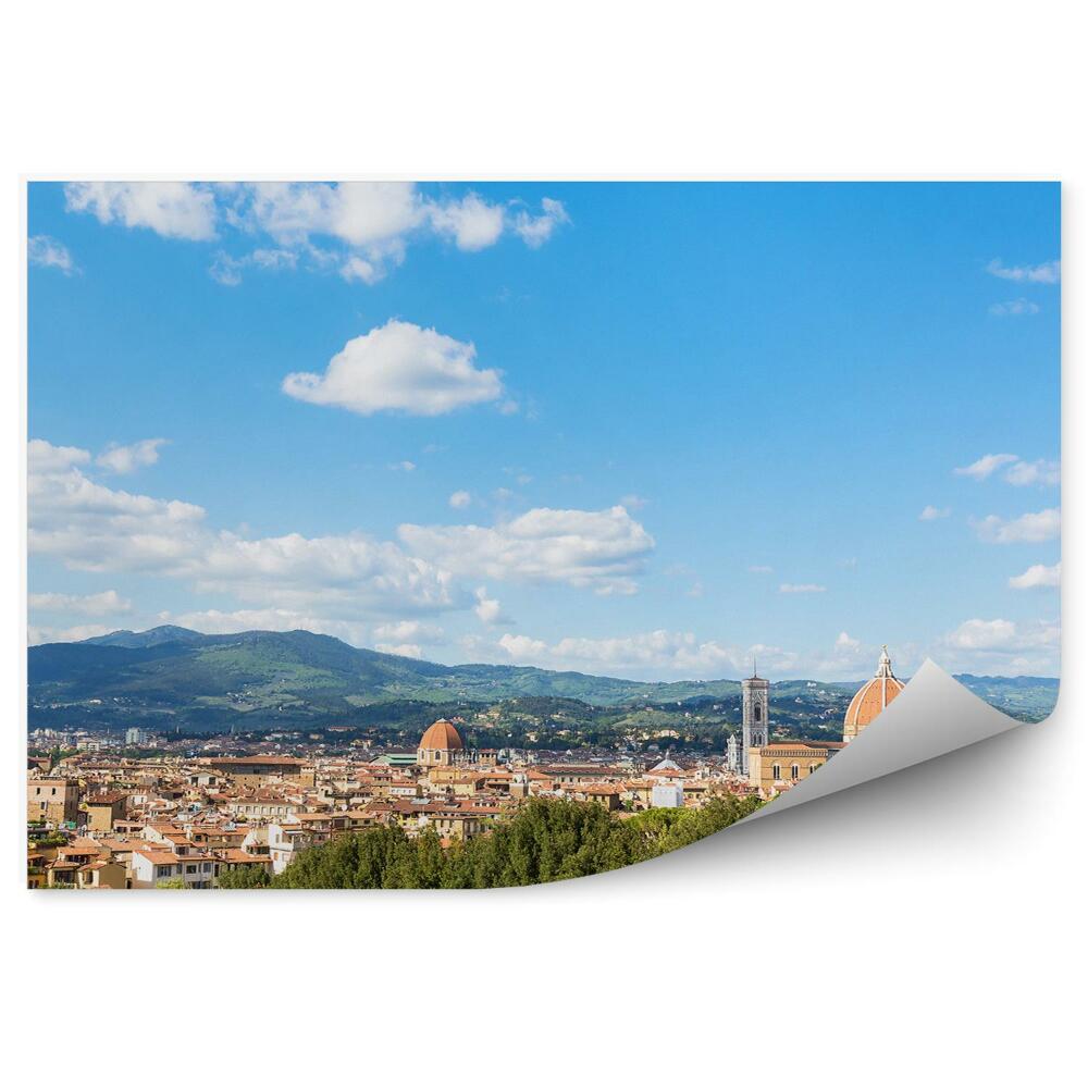 Decor fototapet Oraș Florida Munți Copaci Fântână Verde Cer Nori