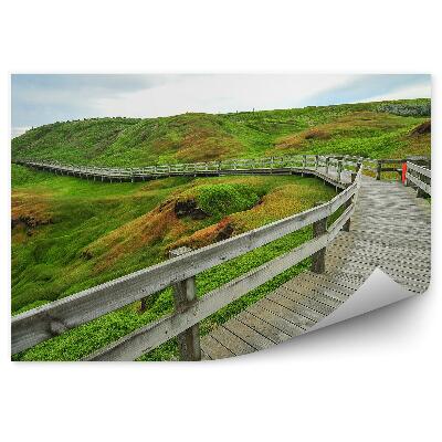 Decor fototapet Platformă din lemn de lemn iarbă verde de câmp