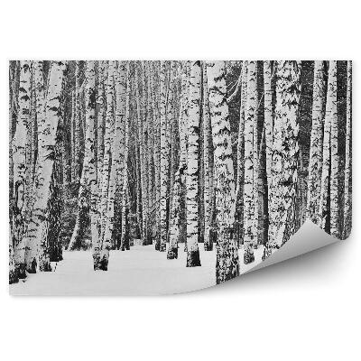 Fototapet vintage Mesteacăn De Pădure De Iarnă