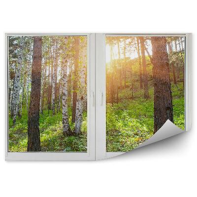 Fototapet vintage Pădure De Mesteacăn Vedere La Deal Din Afara Ferestrei