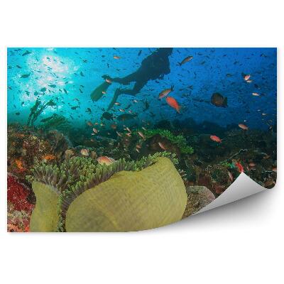 Fototapet vintage Scuba Diver animale pești din lumea subacvatică
