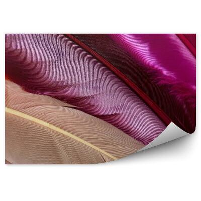 Fototapet vintage Pene colorate