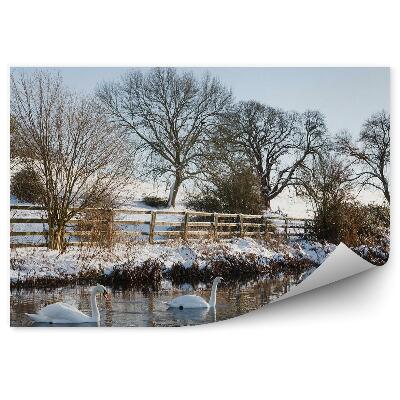 Fototapet Lebede Pe Un Iaz Printre Natura Înghețată