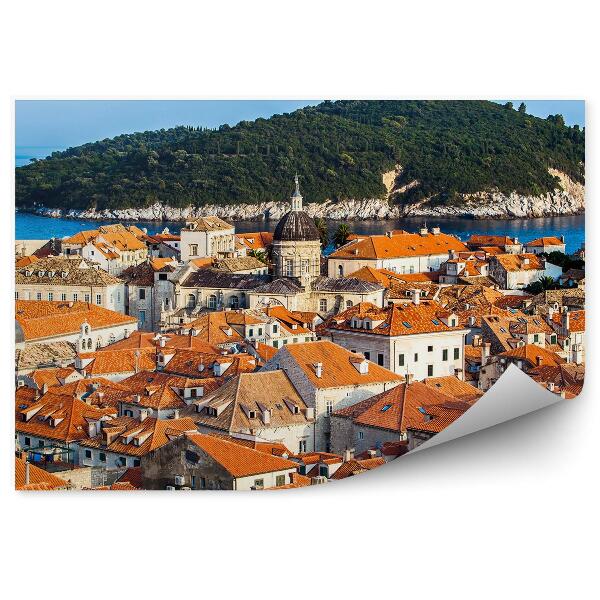Decor fototapet Orașul vechi Dubrovnik insula natură plante