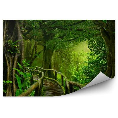 Fototapet Pod De Lemn Cu Copaci De Mușchi Părăsește Thailanda