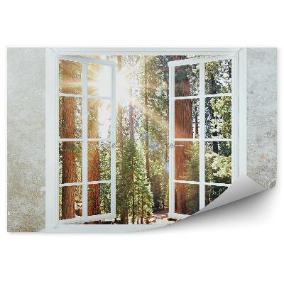 Fototapet vintage Fereastra De Perete Vedere Spre Pădure Și Soare