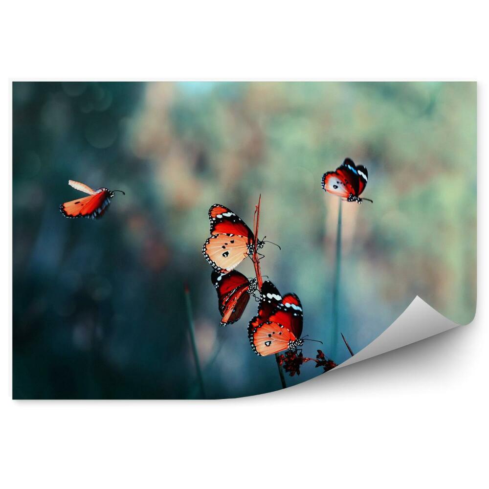 Fototapet Red butterflies