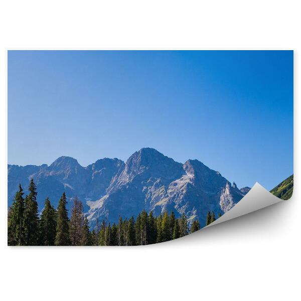 Decor fototapet Morskie Oko, Munți, Conifere, Cer, Munții Tatra
