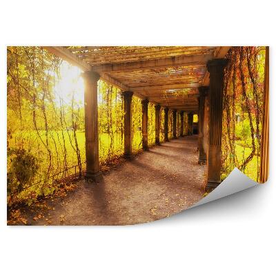 Fototapet perete Frumos Parc De Toamnă