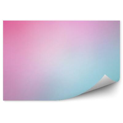 Fototapet vintage Teal În Degrade Roz Neclar