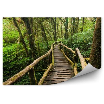 Fototapet pentru perete Peisaj Junglă Debarcader Din Lemn Frunze De Mușchi
