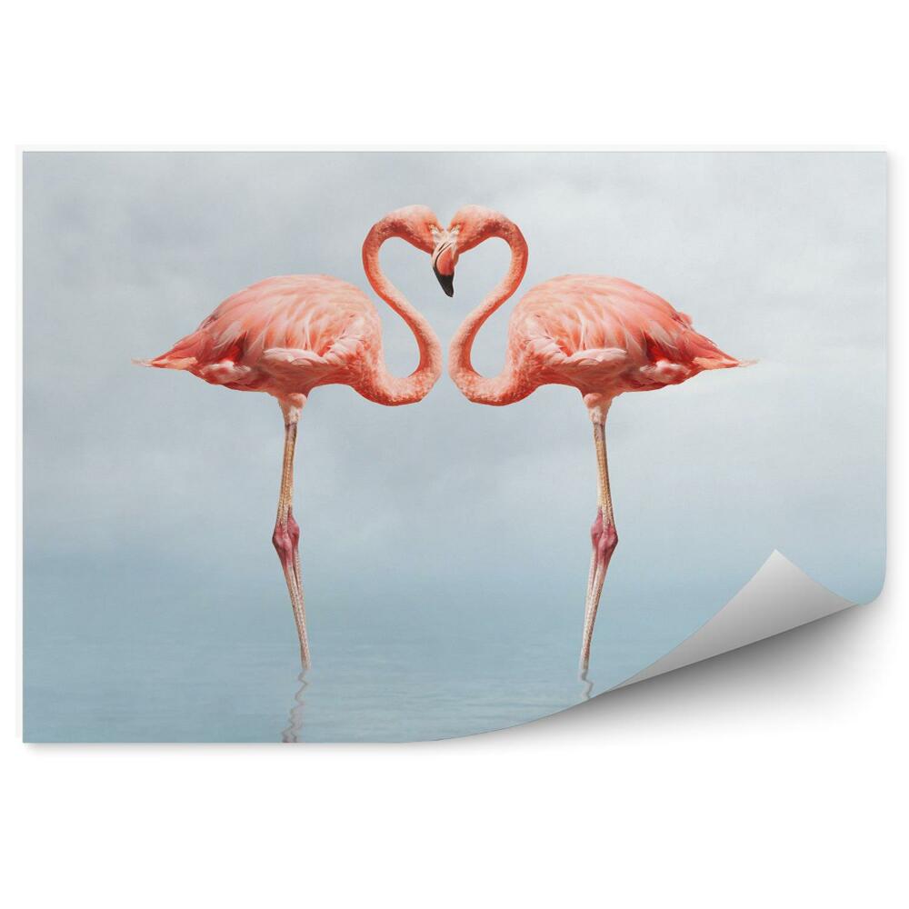 Decor fototapet A pair of flamingos in the water