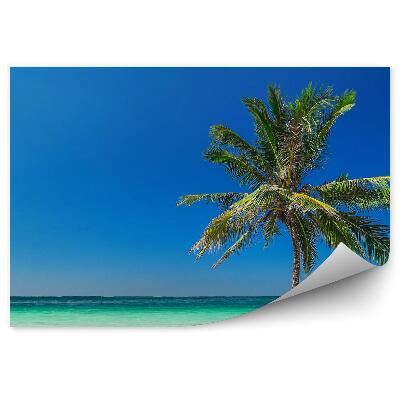 Fototapet vintage Plaja Tropicală Ocean Palmier Cer