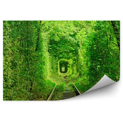 Fototapet pentru perete Tunel Verde Cu Urme De Copaci