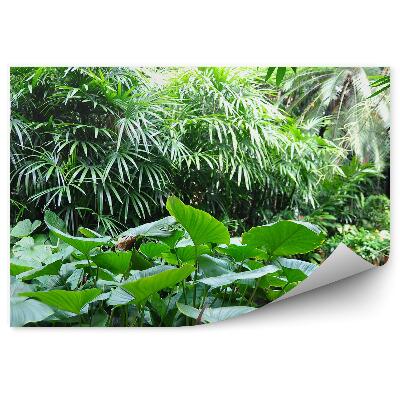 Fototapet Grădină Tropicală Verde Asia