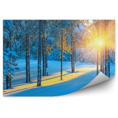 Fototapet vintage Pădure De Iarnă La Răsărit