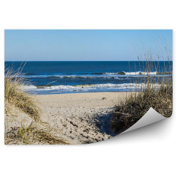 Decor fototapet Valuri Oceanice Plajă Dune Iarbă Nisip Virginia