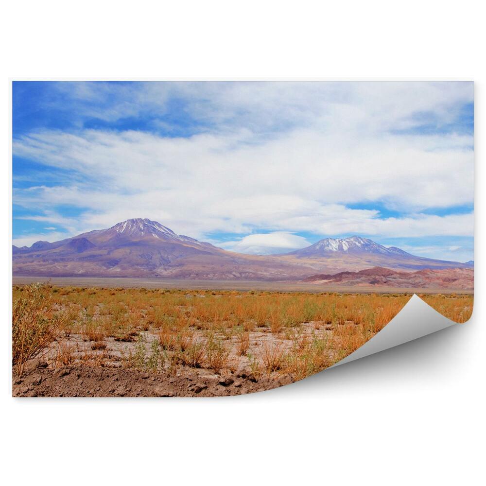 Fototapet vintage Vedere Panoramică A Munților Din Deșertul Atacama, Norii Cerului