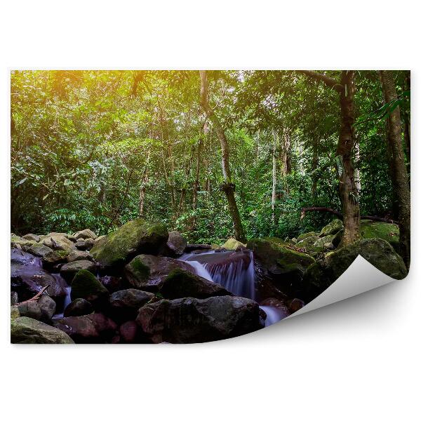 Decor fototapet Vedere Cascadă De Stâncă Din Pădure Tropicală