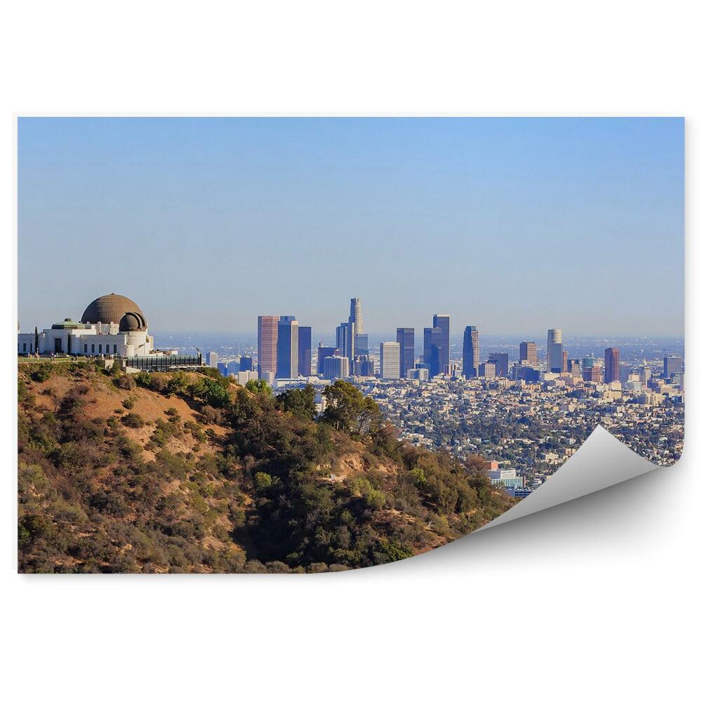 Fototapet pentru perete Zgârie-Nori Templu Deal Copaci Cer Los Angeles