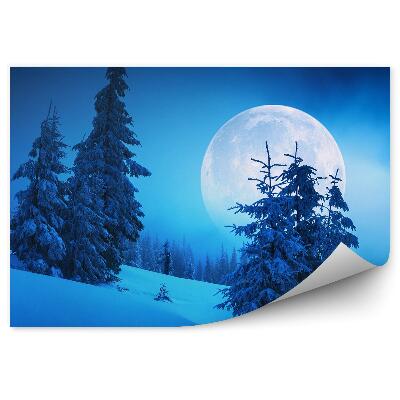 Fototapet perete Iarnă Pădure Munți Noapte De Lună