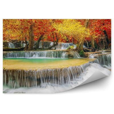 Fototapet Cascade De Toamnă Frunze De Pădure Copaci