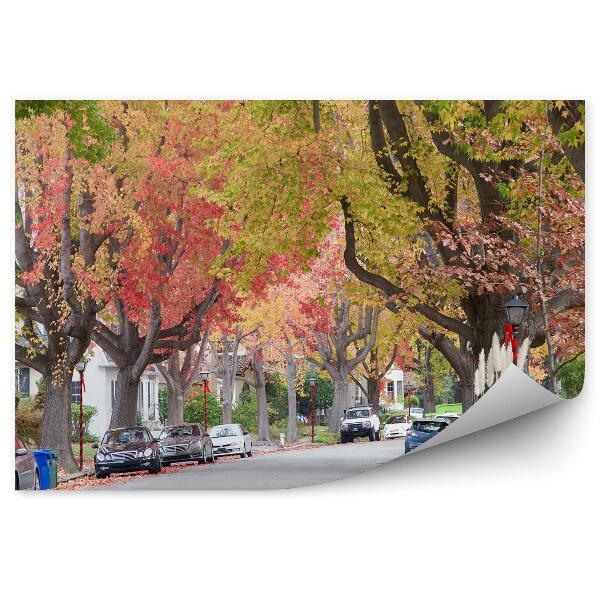 Decor fototapet Copaci Înalți Colorați De Toamnă Mașini De Stradă Oraș