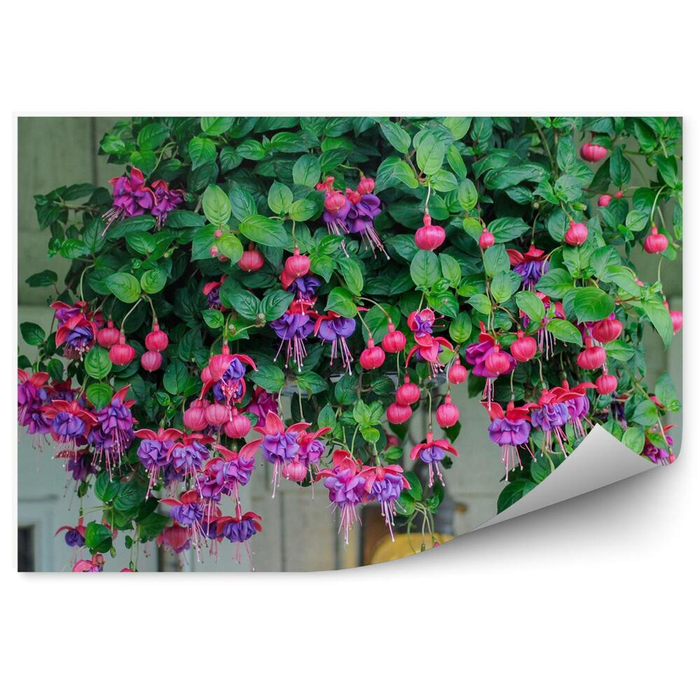 Fototapet pentru perete Flori roz mov fucsia frunze perete de cărămidă fereastră