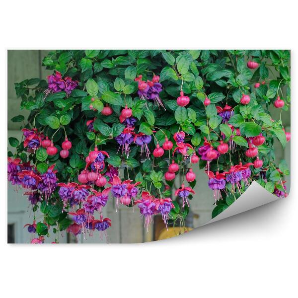 Fototapet pentru perete Flori roz mov fucsia frunze perete de cărămidă fereastră