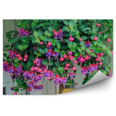 Fototapet pentru perete Flori roz mov fucsia frunze perete de cărămidă fereastră