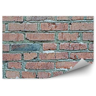 Decor fototapet Perete De Cărămidă Înghețată