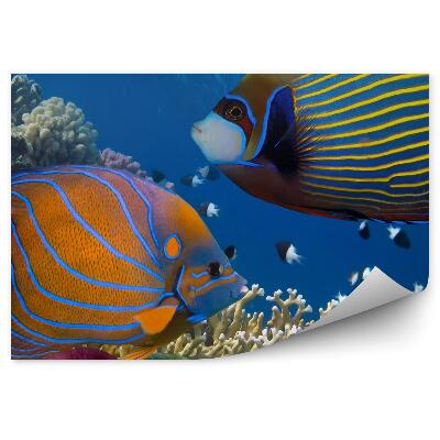 Fototapet vintage Pești Colorați Recif Mondial Subacvatic