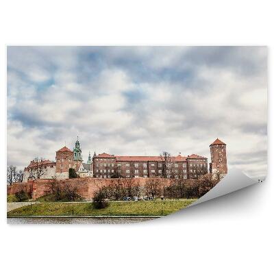 Fototapet pentru perete Vedere Panoramică Wisła Cracovia Bărci Wisła Nori Plante