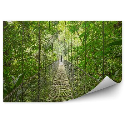 Fototapet vintage Drumul spre podul suspendat în pădurea tropicală