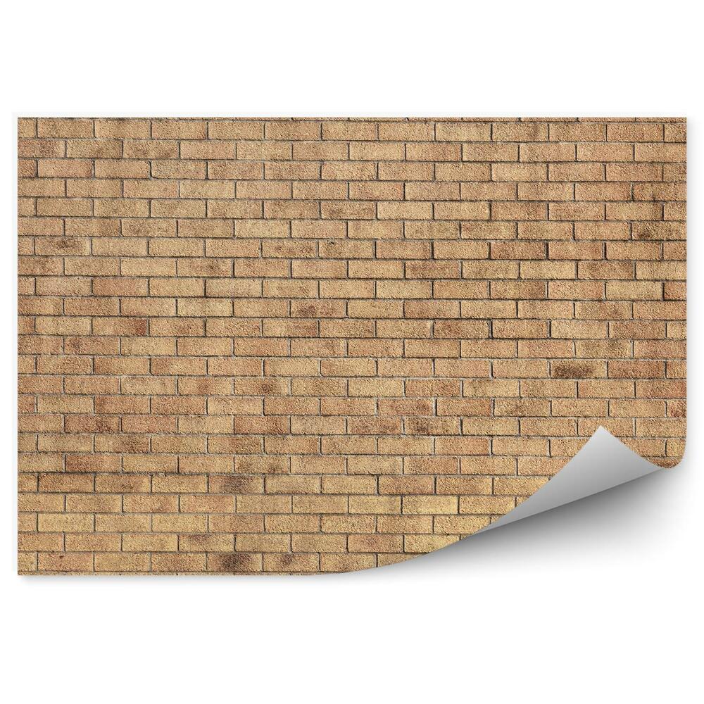Fototapet Perete Galben