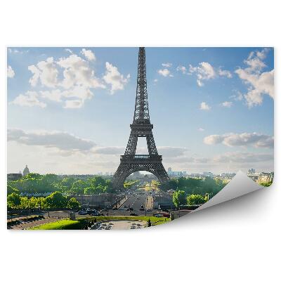 Fototapet pentru perete Parcul de verdeață vegetație Turnul Eiffel