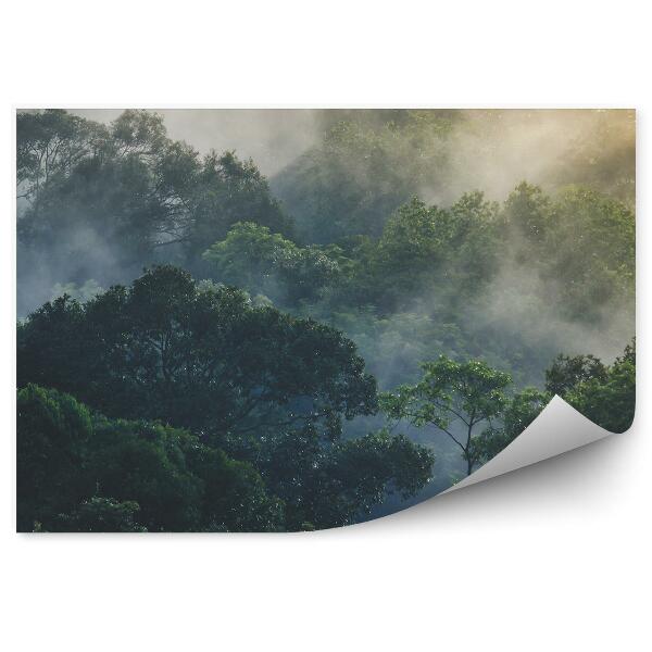 Fototapet vintage Pădurea Tropicală Asia Ceață