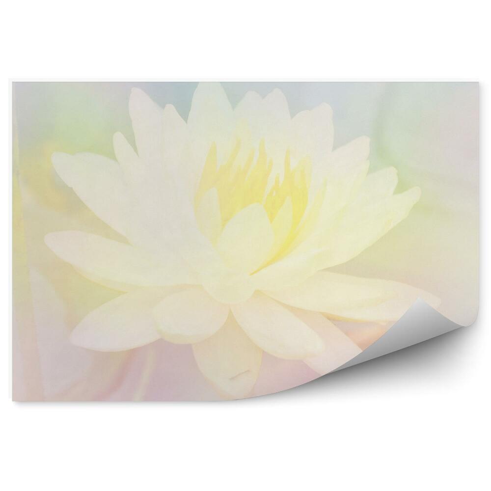 Decor fototapet Fundal pastel floare de lotus galben