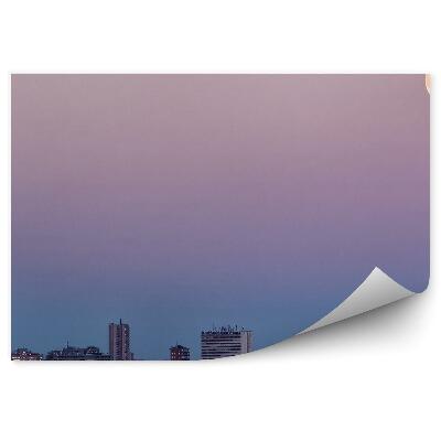 Fototapet pentru perete Clădiri Oraș Madrid Copaci Lună Cer