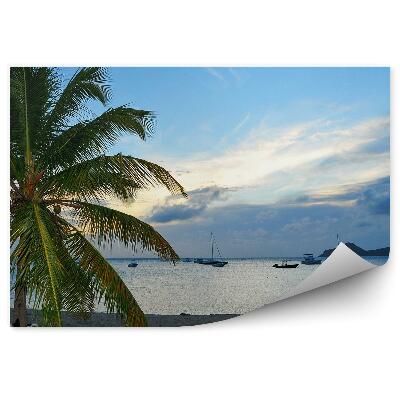 Fototapet pentru perete Plajă, Marea Caraibelor, Palmieri, Șezlong, Nave, Cer, Nori
